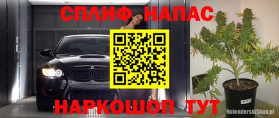 дмт Пенза