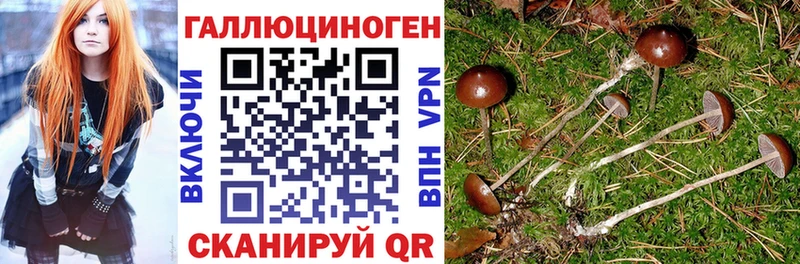 Псилоцибиновые грибы Cubensis  что такое   Черемхово 