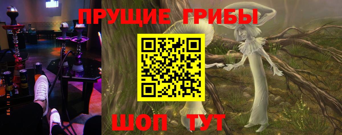 Псилоцибиновые грибы Psilocybine cubensis Черемхово